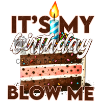 It's my birthday blow me HTV transfer