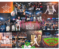 Astros World Series  Sublimation Tumbler Print